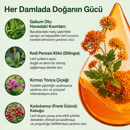Sadece 16 Günde Daha Hafif, Daha İnce ve Şişkinliği Azalmış Hissedin — Selülit Görünümünün Azalmasına Destek Olun!